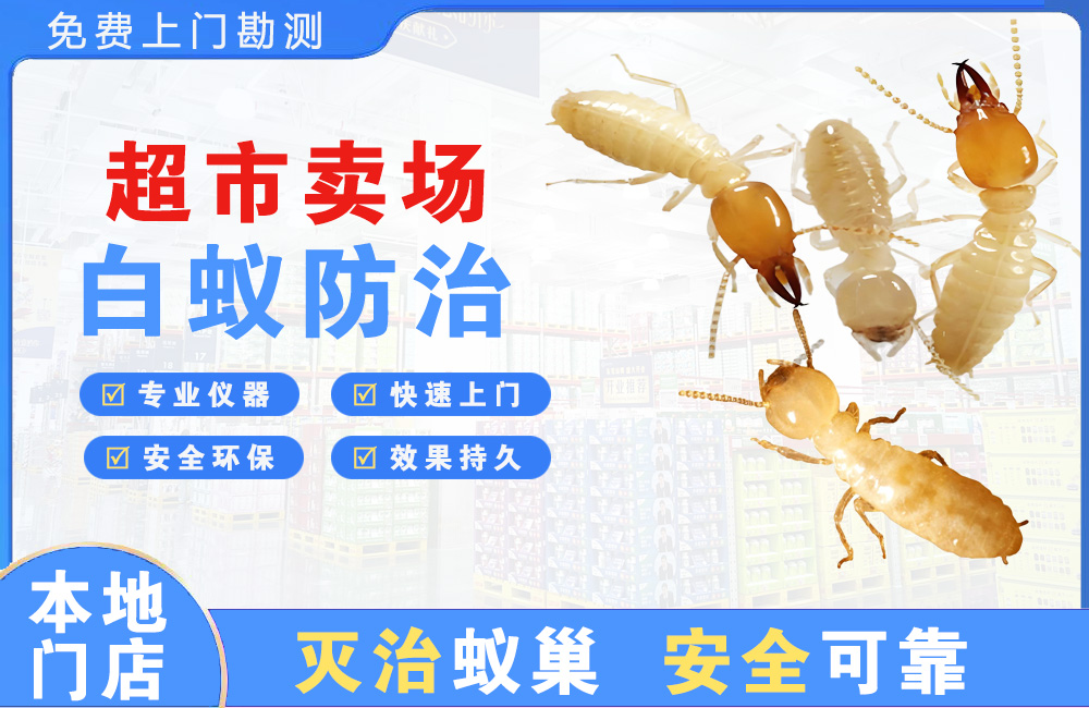揭阳超市卖场白蚁防治