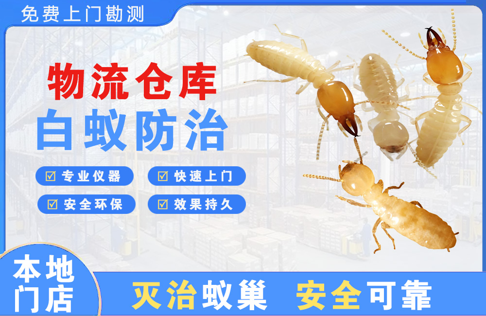 揭阳物流仓库白蚁防治