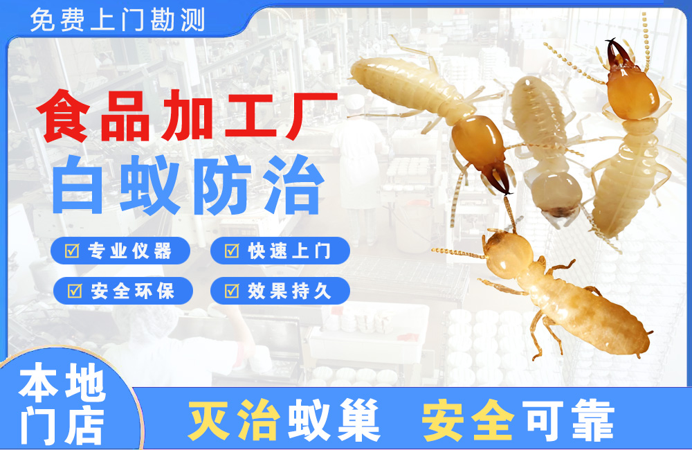 揭阳食品加工厂白蚁防治