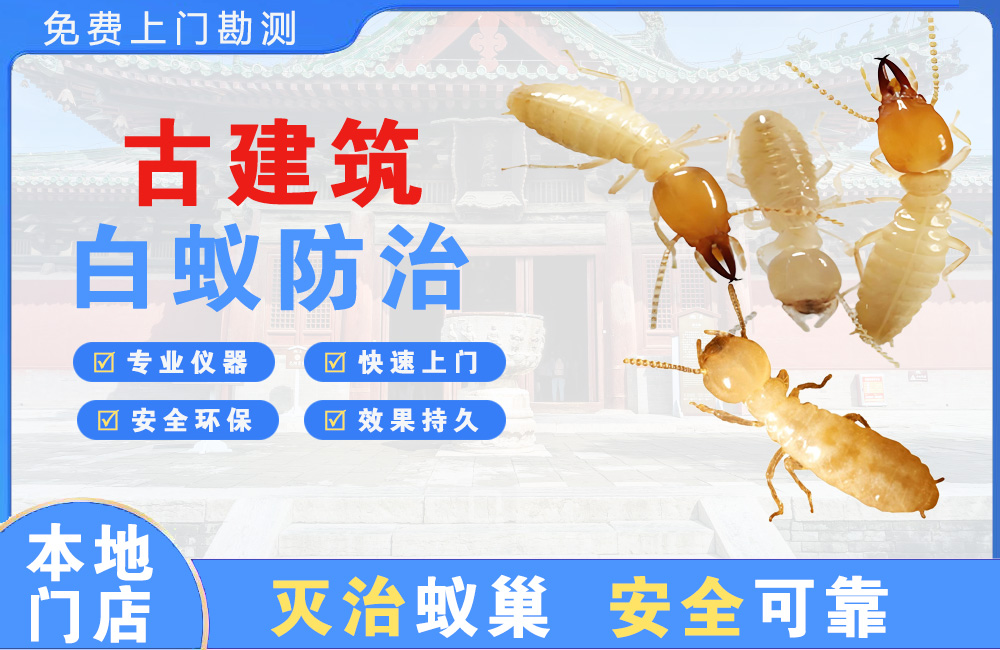 揭阳古建筑白蚁防治