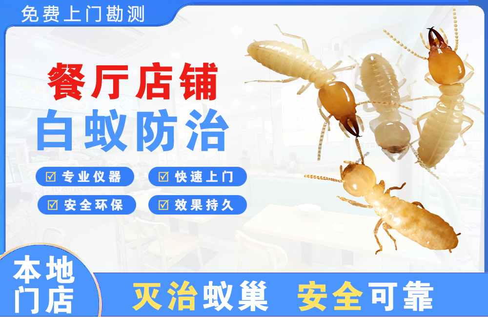 揭阳餐厅店铺白蚁防治